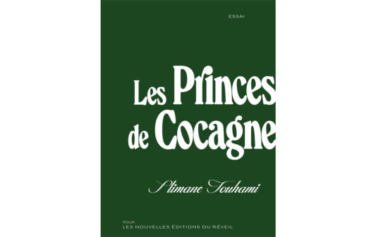 Couv_slimane-touhami_les-princes-de-cocagne